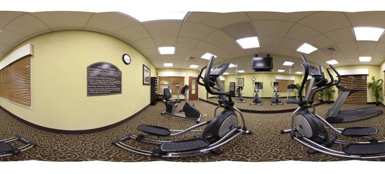 智选假日套房酒店查菲，杰克逊维尔西(Holiday Inn Express & Suites Chaffee-Jacksonville West)图片