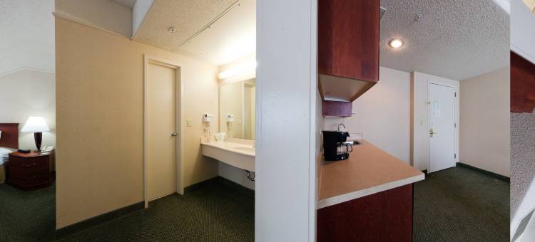 奥弗兰德公园西假日套房酒店(Holiday Inn & Suites Overland Park-West)图片