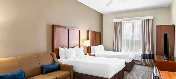 舒适套房酒店(Comfort Inn & Suites)图片