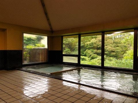 Tatsuta Ryokan Hotel Overview
