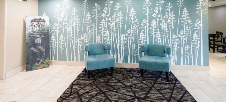 诺克斯维尔西舒眠套房酒店(Sleep Inn & Suites West Knoxville)图片