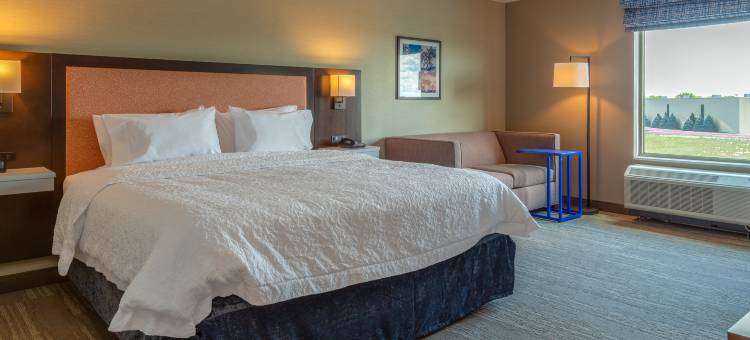 布尔博奈坎卡基希尔顿欢朋酒店(Hampton Inn by Hilton Bourbonnais/Kankakee)图片