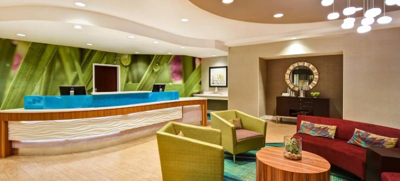 巴尔的摩华盛顿国际机场 SpringHill Suites 酒店(SpringHill Suites Baltimore BWI Airport)图片