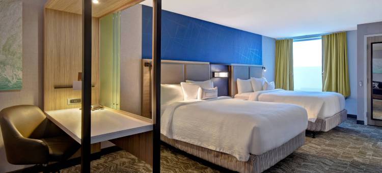 霍兰万豪SpringHill Suites酒店(SpringHill Suites Holland)图片