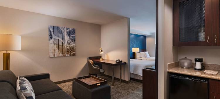 SpringHill Suites Boise West/Eagle图片