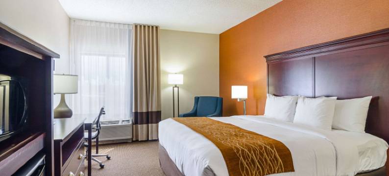 舒适酒店及套房哈钦森(Comfort Inn & Suites)图片