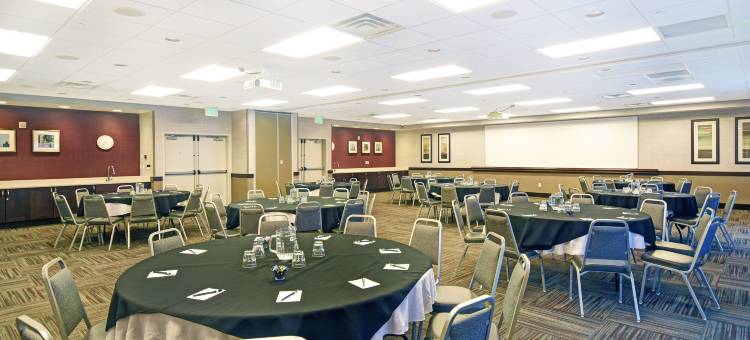 Homewood Suites by Hilton-丹佛国际机场(Homewood Suites by Hilton Denver International Airport)图片