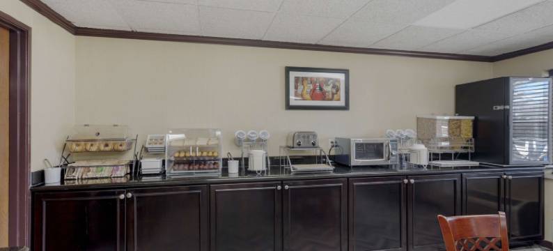 纳什维尔/布伦特伍德贝蒙特旅馆套房酒店(Comfort Inn & Suites)图片