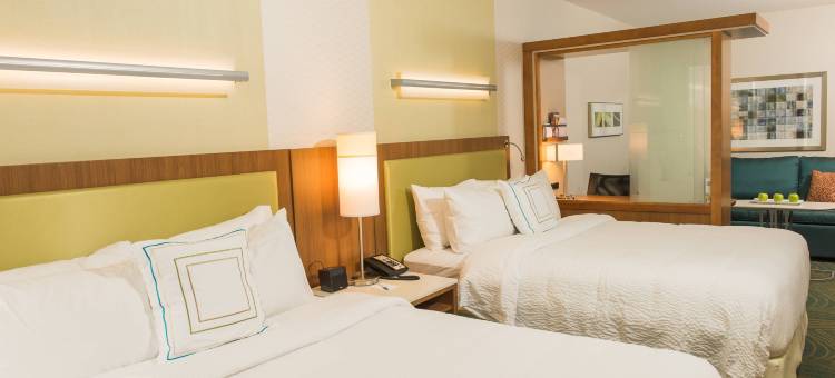 布法罗机场SpringHill Suites酒店(SpringHill Suites Buffalo Airport)图片