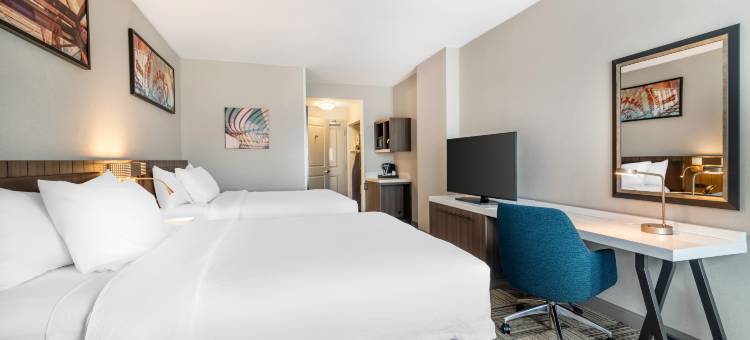 奥尔巴尼市希尔顿花园酒店(Hilton Garden Inn Albany/Suny Area)图片