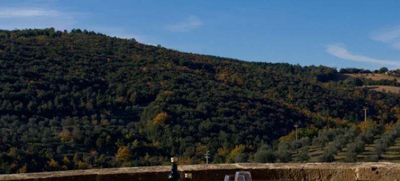 帕拉佐布兰达诺酒店(Palazzo Brandano)图片