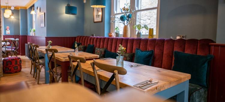 羊和企鹅(The Sheep and Penguin)图片