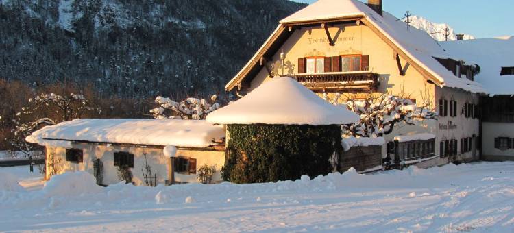 Pension Almhof Baumgarten酒店(Pension Almhof Baumgarten)图片