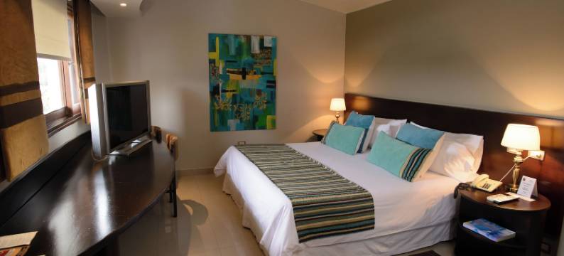 波尔多佐埃罗酒店(Portezuelo Hotel)图片