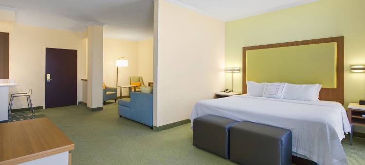 劳伦斯市中心万豪SpringHill酒店(SpringHill Suites Lawrence Downtown)图片