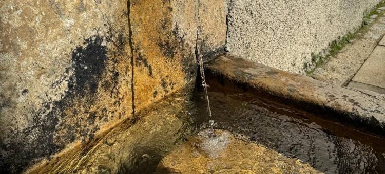 喷泉霍斯佩迪姆酒店(Hospedium Hotel la Fuente)图片