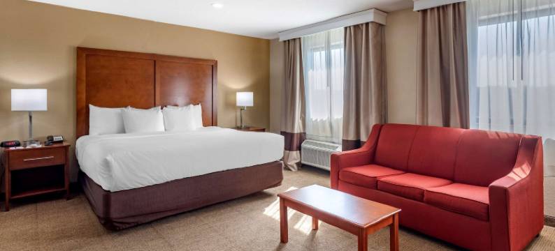 纳什维尔西舒适酒店(Comfort Inn Nashville West)图片