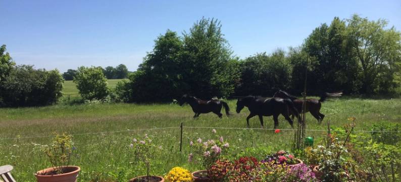 塞姆洛的带花园和露台的公寓(Wohnung in Semlow Mit Garten Und Terrasse)图片