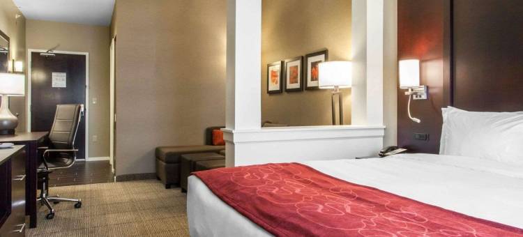 舒适套房酒店-扬斯敦北(Comfort Suites-Youngstown North)图片