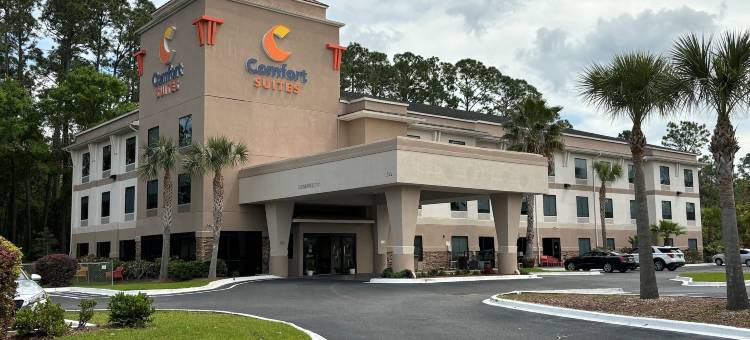 舒适套房酒店-金斯湾海军基地区(Comfort Suites Kings Bay Naval Base Area)图片