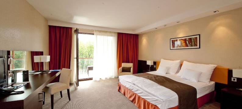 珠算商务及健康酒店(Abacus Business & Wellness Hotel)图片