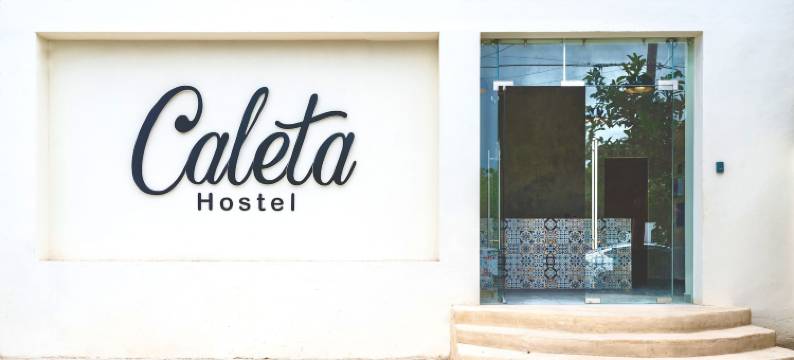 卡莱塔旅舍屋顶泳池酒店(Caleta Hostel)图片