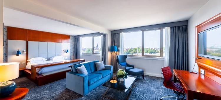 斯特拉斯堡希尔顿酒店(Hilton Strasbourg)图片