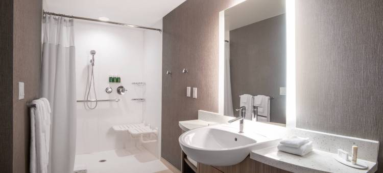 丹佛帕克万豪SpringHill Suites酒店(SpringHill Suites Denver Parker)图片