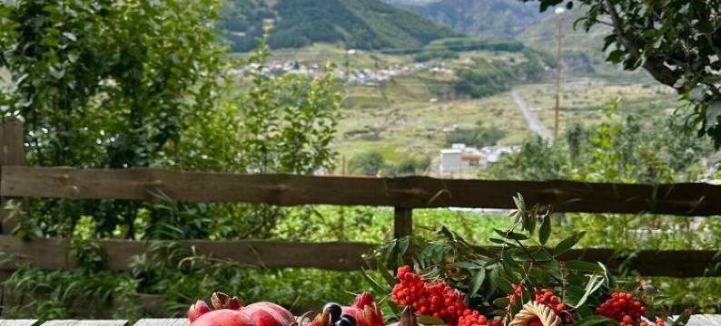 阿克塞恩酒店(Hotel Axien Kazbegi)图片
