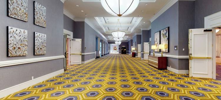 达拉斯北万丽酒店(Renaissance Dallas North Hotel)图片