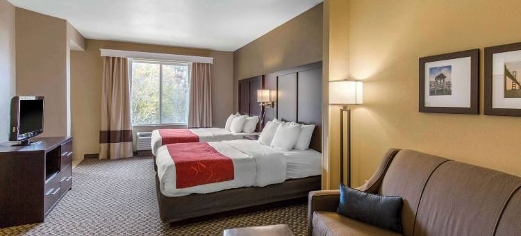 锡福德舒适全套房酒店(Comfort Suites)图片