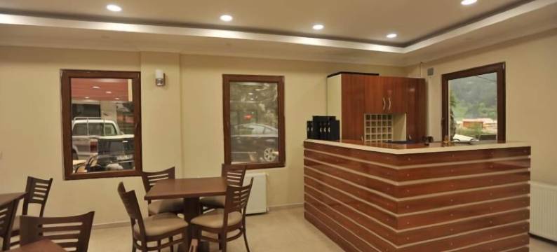 乌曾戈索尔鲁酒店(Uzungol Soylu Hotel)图片