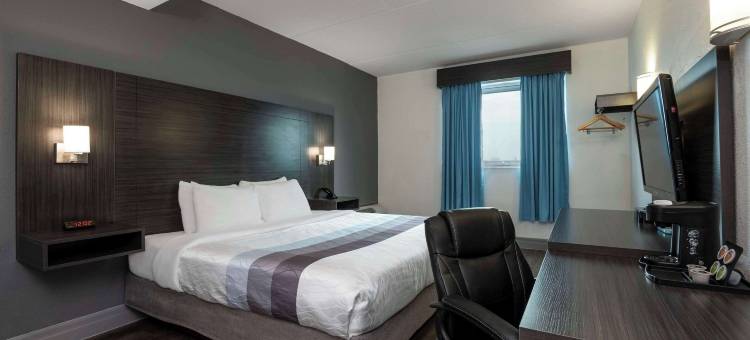 舒适酒店(Comfort Hotel)图片