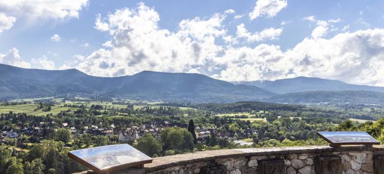 国际之家勤勉酒店(Hotel la Diligence)图片