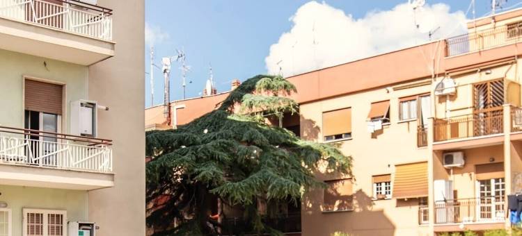 钱皮诺广场客房酒店(Plaza Rooms Ciampino)图片