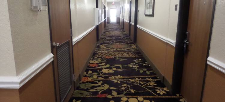 皮尔索尔呗盟套房酒店(Baymont by Wyndham Pearsall)图片