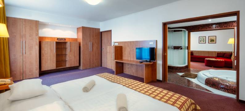 皮利恩宏格斯特酒店(Hunguest Hotel Pelion)图片