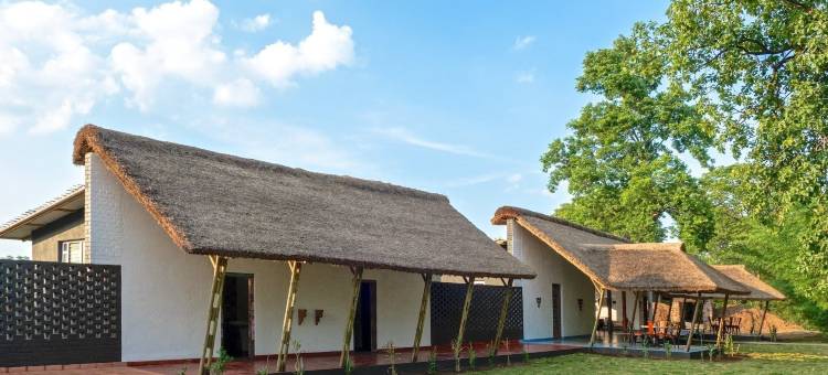 红地球塔多巴酒店(Red Earth Tadoba)图片