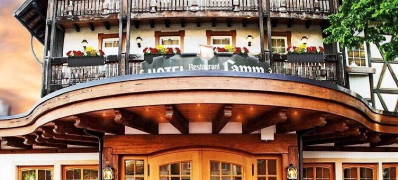 拉姆酒店(Hotel Lamm Mitteltal)图片