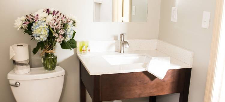 伊顿敦水晶汽车旅馆(Crystal Inn Eatontown)图片