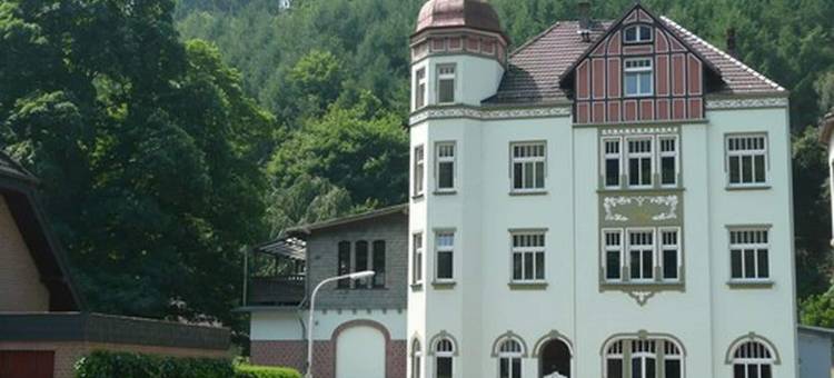 威登霍夫酒店(Hotel Weidenhof)图片