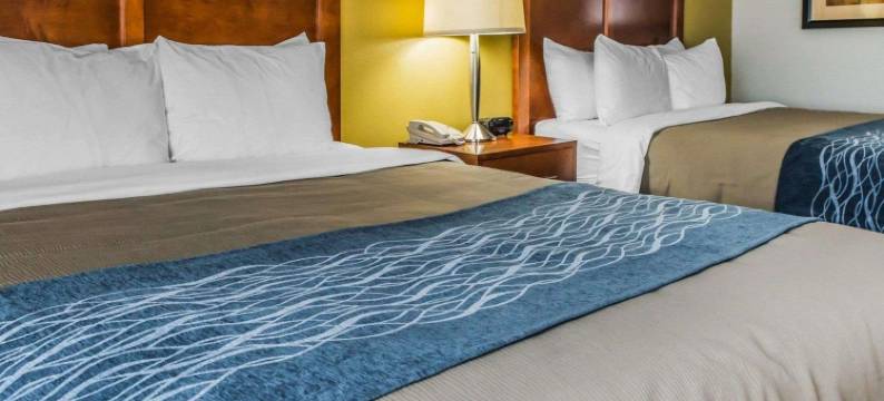 贝拉维农舒适酒店(Comfort Inn)图片