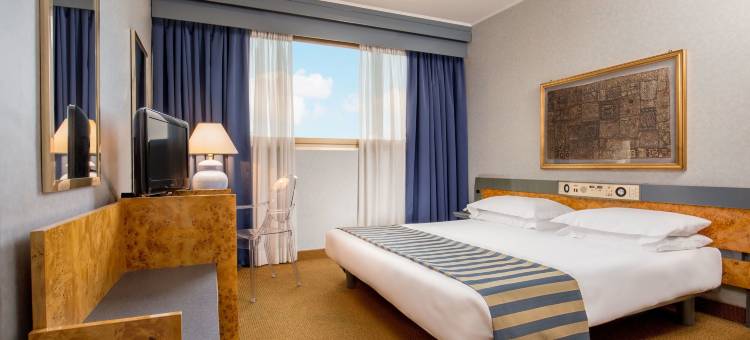 尼雅酒店(Enea Hotel Pomezia)图片