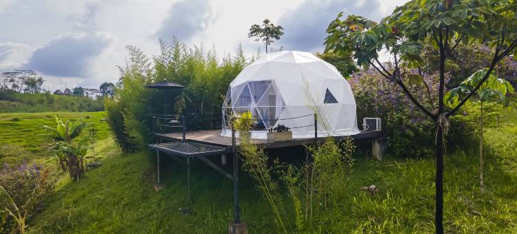 蒙特地拉生态酒店(Eco Hotel Monte Tierra)图片