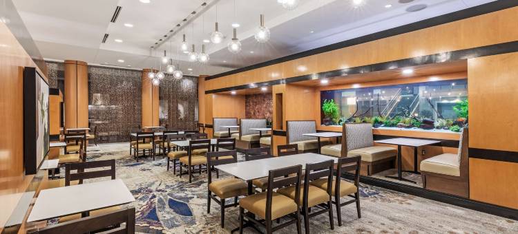 休斯顿能源走廊希尔顿安泊酒店(Embassy Suites by Hilton Houston Energy Corridor)图片