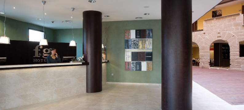 罗格诺F&G酒店(F&G Logroño)图片