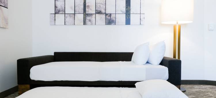 SpringHill Suites Dallas Richardson/Plano图片