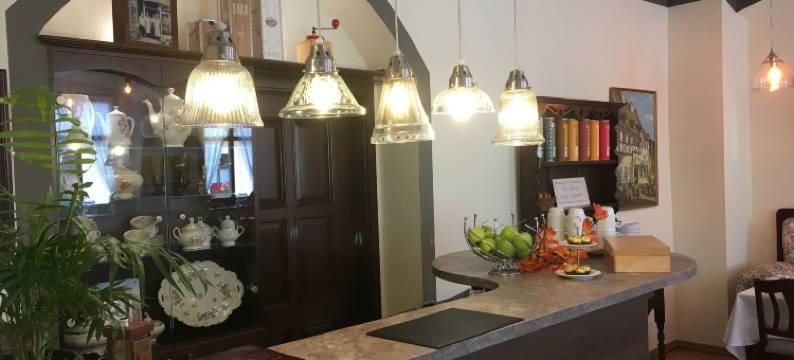 阿尔特安纳贝格伽尼酒店(Hotel Alt Annaberg)图片