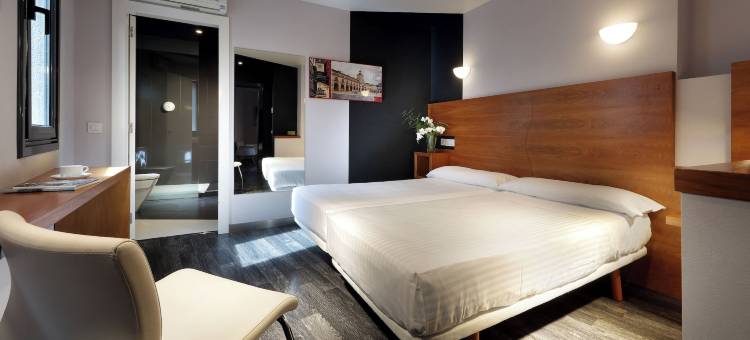 埃玛奇斯桃酒店(Exe Hotel El Magistral)图片