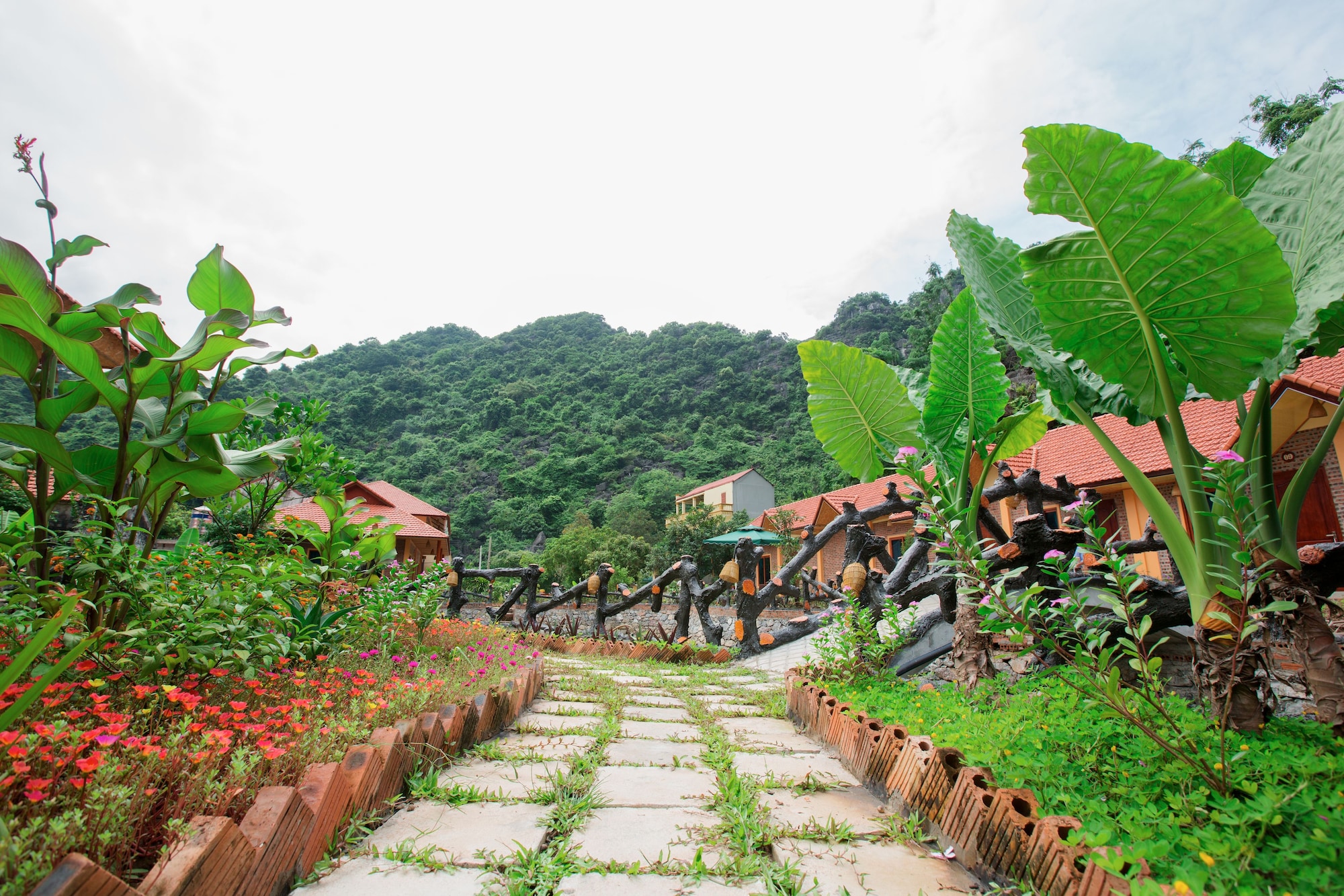 An Ngoc Tam Coc BungalowOver view